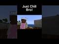 Just chill bro! #minecraft #майнкрафт #chill