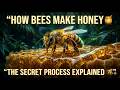 How Bees Make Honey | The Secret Process Explained | The Beast World