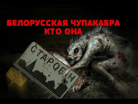 Video: Chupacabra Kom Igång I Berezhki - Alternativ Vy