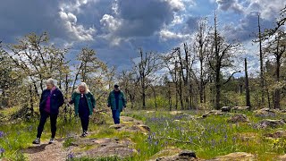A Hike Through Camassia Nature Reserve, West Linn, OR