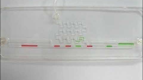 A microfluidic device. separation,sorting,mixing