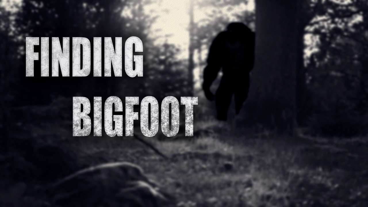 Finding Bigfoot Torrent Download - CroTorrents