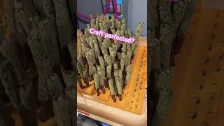 How to roll a backwood #perfection #420 #ny #nyc #apex