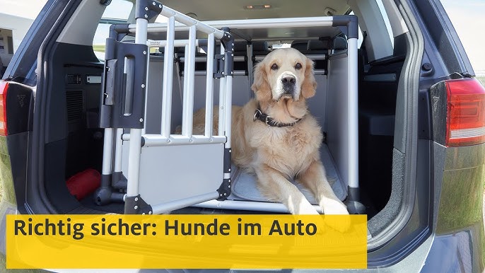 DoggySafe - Sicherheit & Komfort für Hunde im Auto