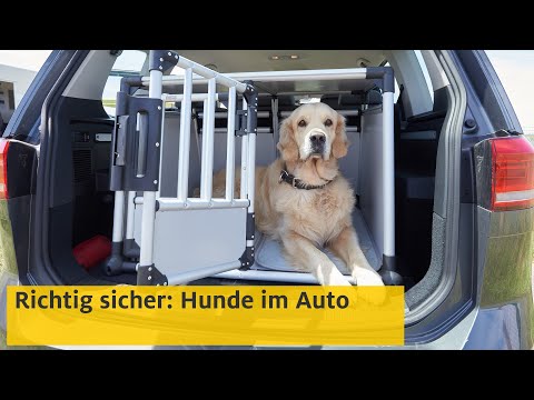 Hundebox fürs Auto: Worauf man achten muss [+Crashtest]