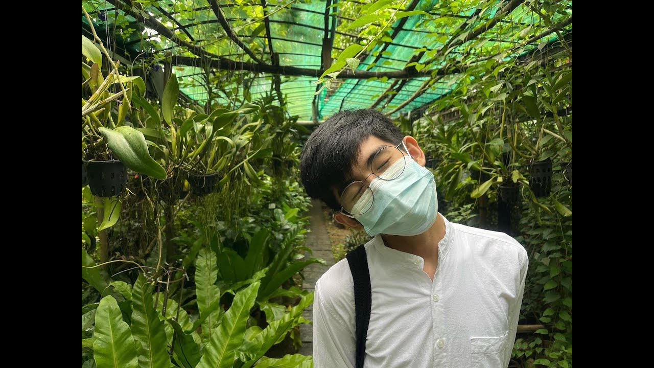 Plant Shop Tour | Yangon, Myanmar