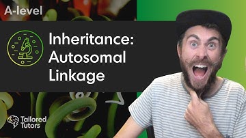 Inheritance: Autosomal Linkage | A Level Biology Revision