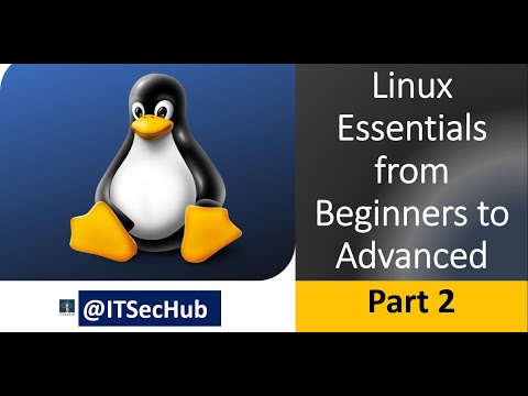 Linux Essentials | Mastering Linux Commands | Part2