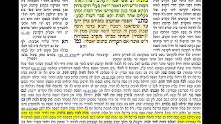 דף יומי מסכת פסחים דף צח Daf yomi Pesachim daf 98 שמואל נבון