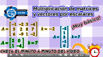 🤓 Multiplicación de escalar (Número) por matrices y vectores | Con comprobación | ¡Muy básico!