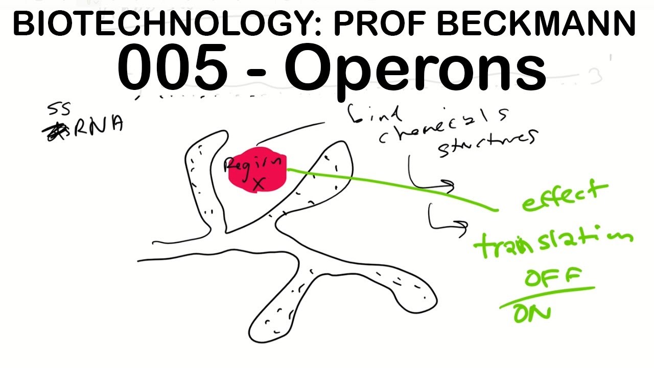 Biotechnology 005: Bacterial Operons: Prof. Beckmann