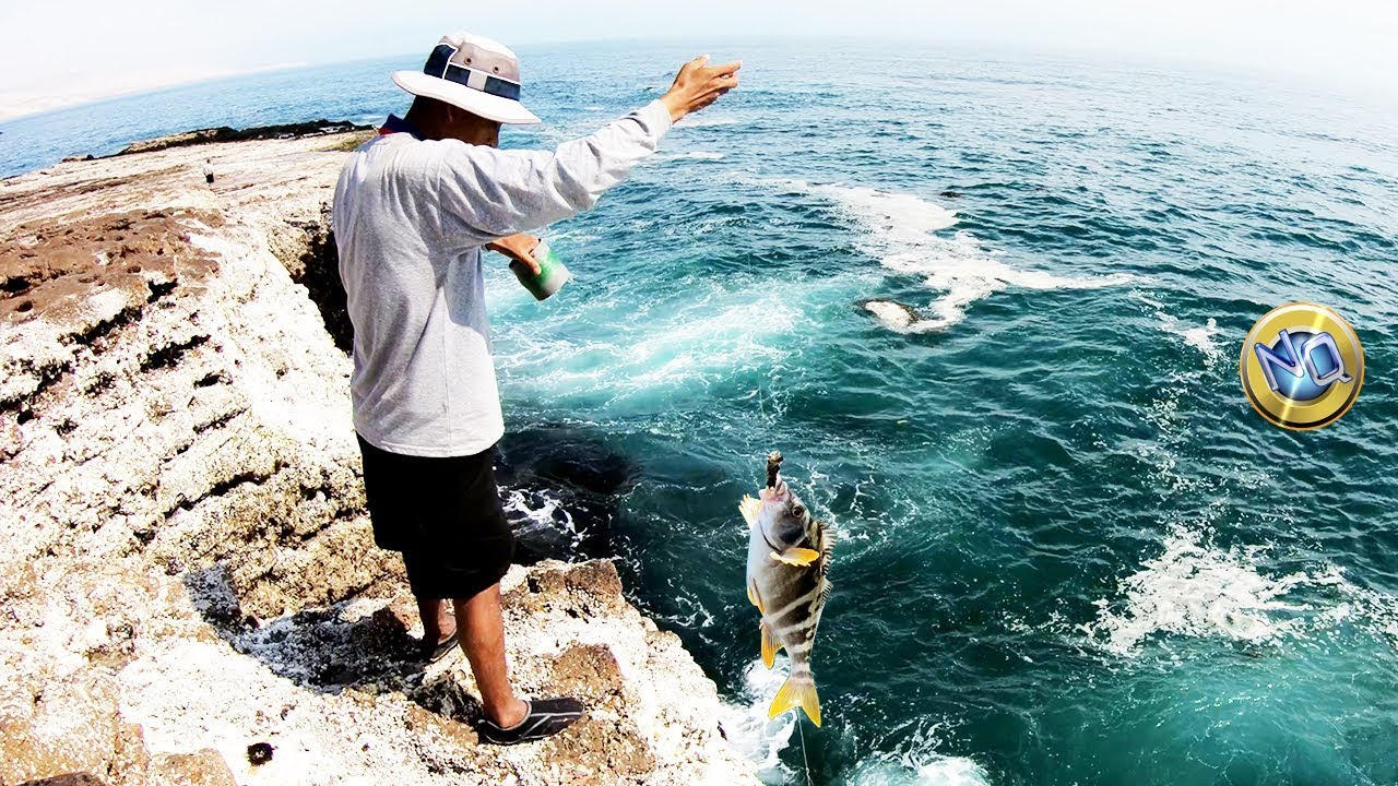 Lionel Green Street cruzar plato Pesca usando CANGREJOS y Línea de Mano(!) pescando a cordel desde Rocas -  4K - YouTube