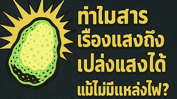 แสงที่ไม่มีไฟ…มันมาจากไหน? | ทำไมสารเรืองแสงถึงเปล่งแสงได้ในความมืด