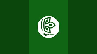 IBgarden is live 6.11.2