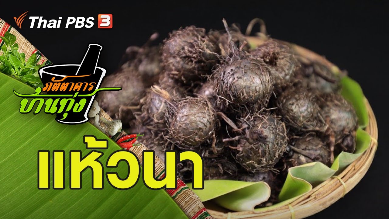 แห้วนา : ภัตตาคารบ้านทุ่ง (22 มิ.ย. 62)