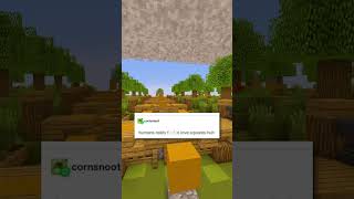 Best of Tumblr! 👀