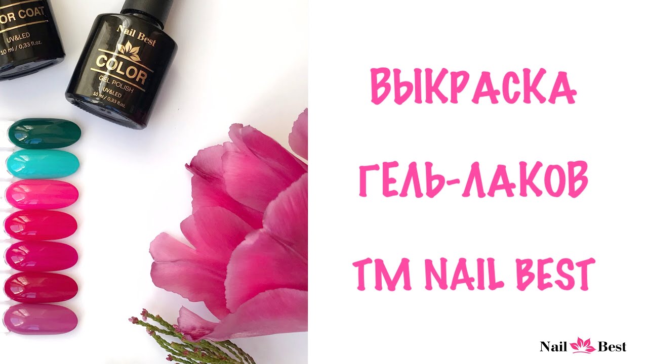 Нейл Бест Интернет Магазин Официальный Сайт
