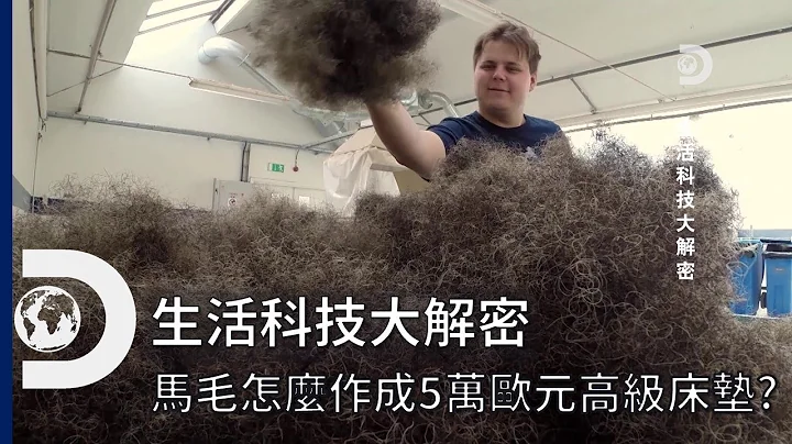 5万欧元的床垫你敢想像吗？怎么从马毛从零开始制做？  《生活科技大解密》 - 天天要闻