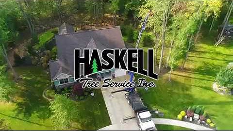 Haskell Tree