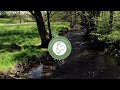 Paper Manufacturer Hahnemühle - paper production with pure spring water in a natural reserve