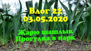 Влог 22 / Жарю шашлык / Прогулка по парку