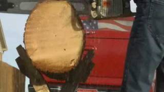 Stihl 460 vs Stihl 440 vs Husky 372 vs Solo 681