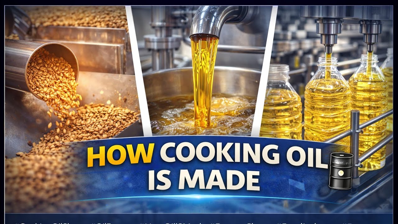 How Cooking Oil Is Made 🛢️ | Inside Edible Oil Factory Process | Rawtory