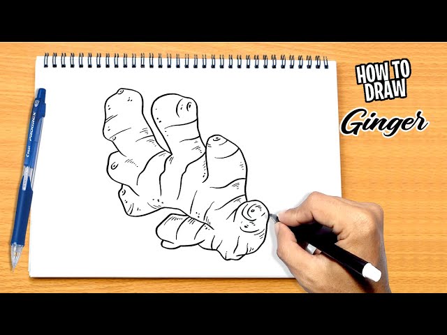 How to draw Ginger class=