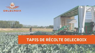 Dépliage et repliage tapis Delecroix