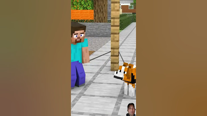When Steve And His Dog Don'T Give Away To Each Other 😂️