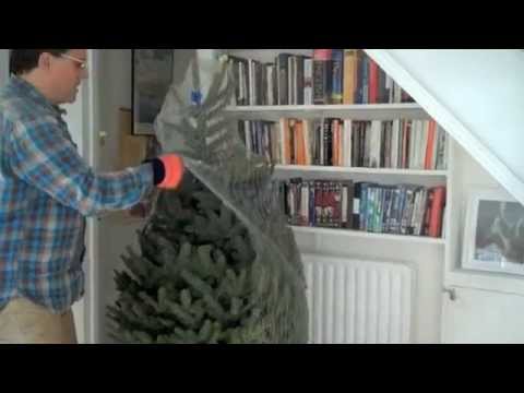 Video: How To Install A Christmas Tree