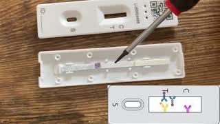 Lateral Flow Test Teardown