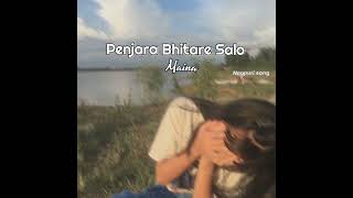 Penjara Bhitare Salo Maina  Nagpuri Old Song  Old Is Gold 