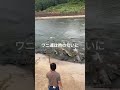 ワニの餌やりは命懸け