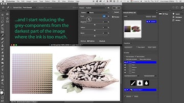 RetouchXPressCC2021 - Tutorial 8 - Total Area Coverage - Preview and Fix