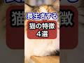 長生きする猫の特徴5選を獣医師が解説　#ねこ #保護猫 #猫 #ネコ #猫のいる暮らし