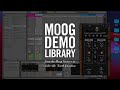 Moogerfooger Effects Plug-ins | Sidechain Capabilities