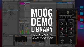 Moogerfooger Effects Plug-ins | Sidechain Capabilities