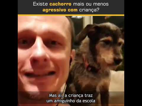 Vídeo: Você Não é Um Mau Pai De Estimação Se Seu Cachorro Não Gosta De Crianças