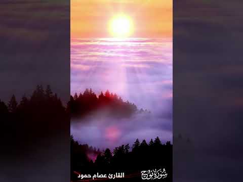 ايات من سورة نوح عصام حمود