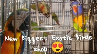 New biggest Exotic Birds shop 😍 in college road birds market Rawalpindi #contact 03312488088 Osama