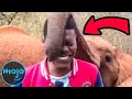 Top 10 Craziest Live TV FAILS of 2022