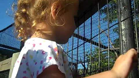 Chloe & The Monkeys