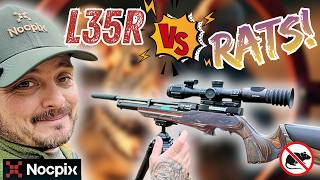Thermal Air Rifle Scope Pest Control | L35R | Reducing Numbers After Dark