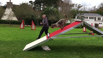 Running Contact A Frame: Session 1