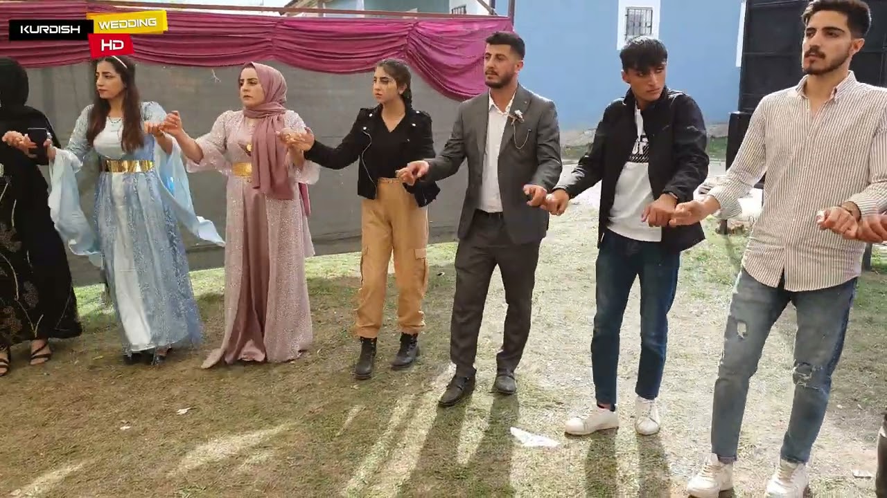 Hekim & Sibel çiftinin mutlu günü part 2 #kurdish #wedding #kurdishmusic #düğün #düğünçekimi