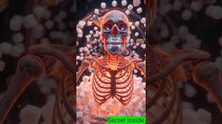 30 दिन रोज Cold Drink पीने से शरीर में क्या होगा? #bodyfacts #fitness #health #junkfood #xray