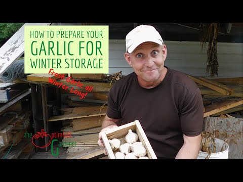 Video: How To Stock Up On Garlic For The Winter