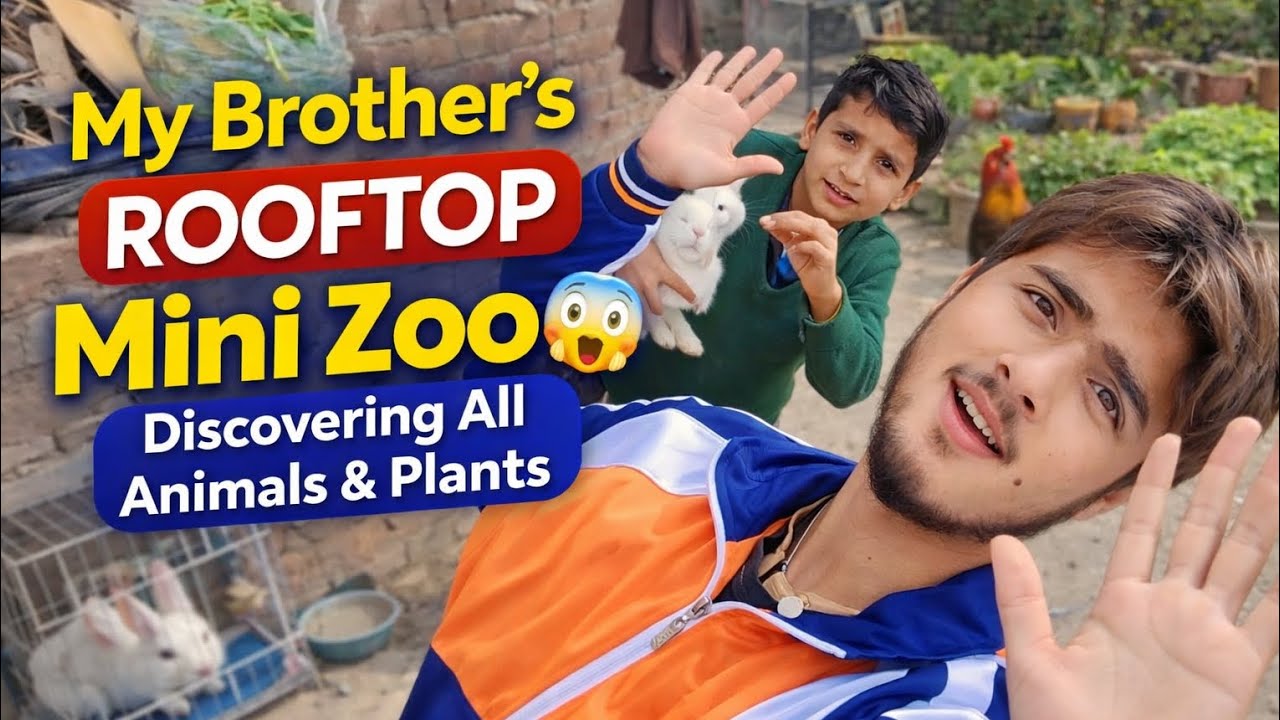 My Brother’s Rooftop Mini Zoo 😲 | Animals & Plants Vlog