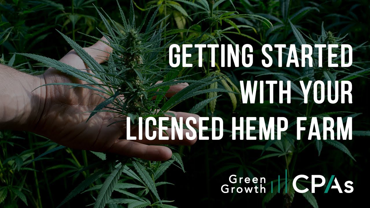 Getting Your Hemp Cultivation License and Starting Your Hemp Business